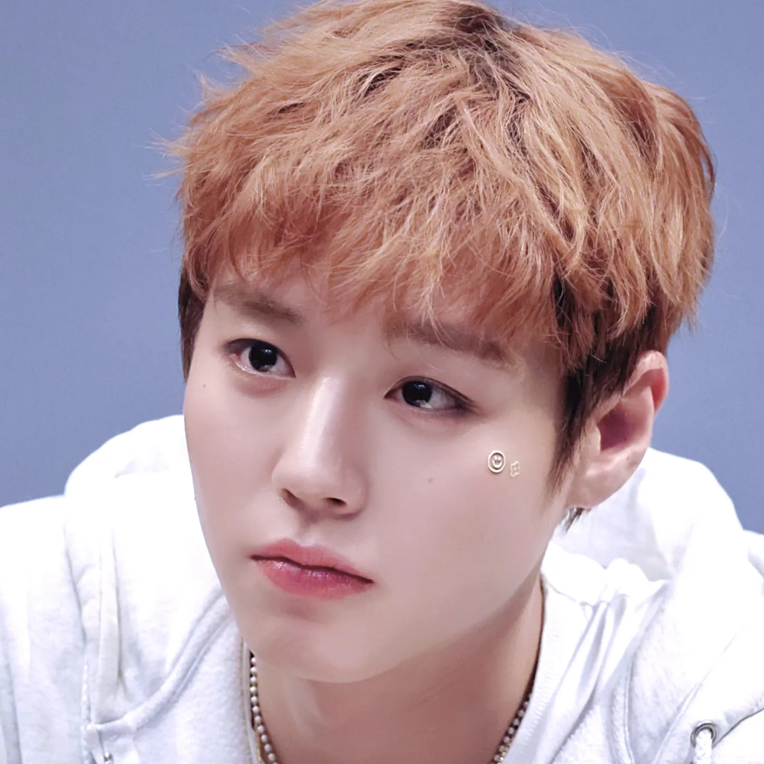 박지훈의 비하인드 컷