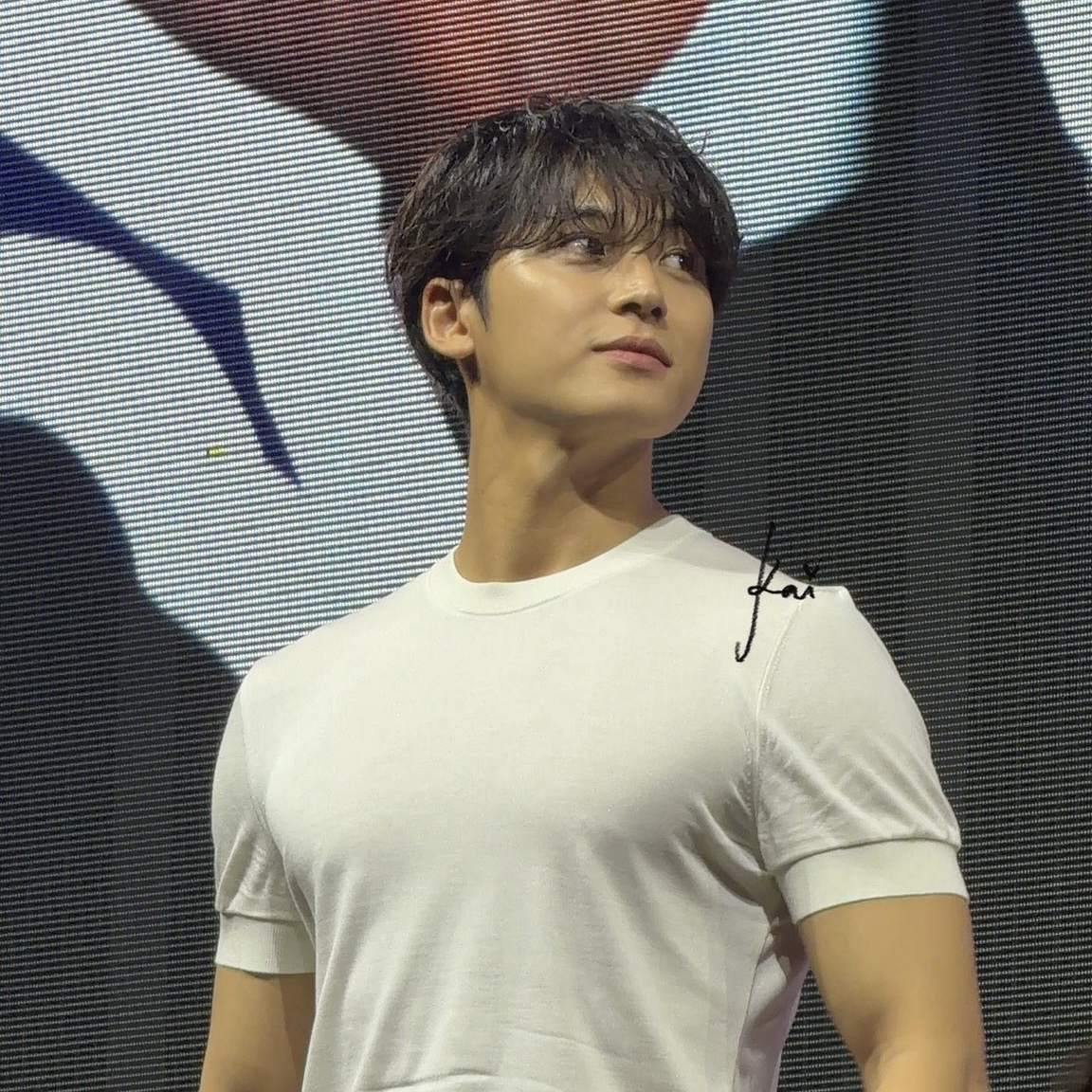 세븐틴 팬이 찍은 순간