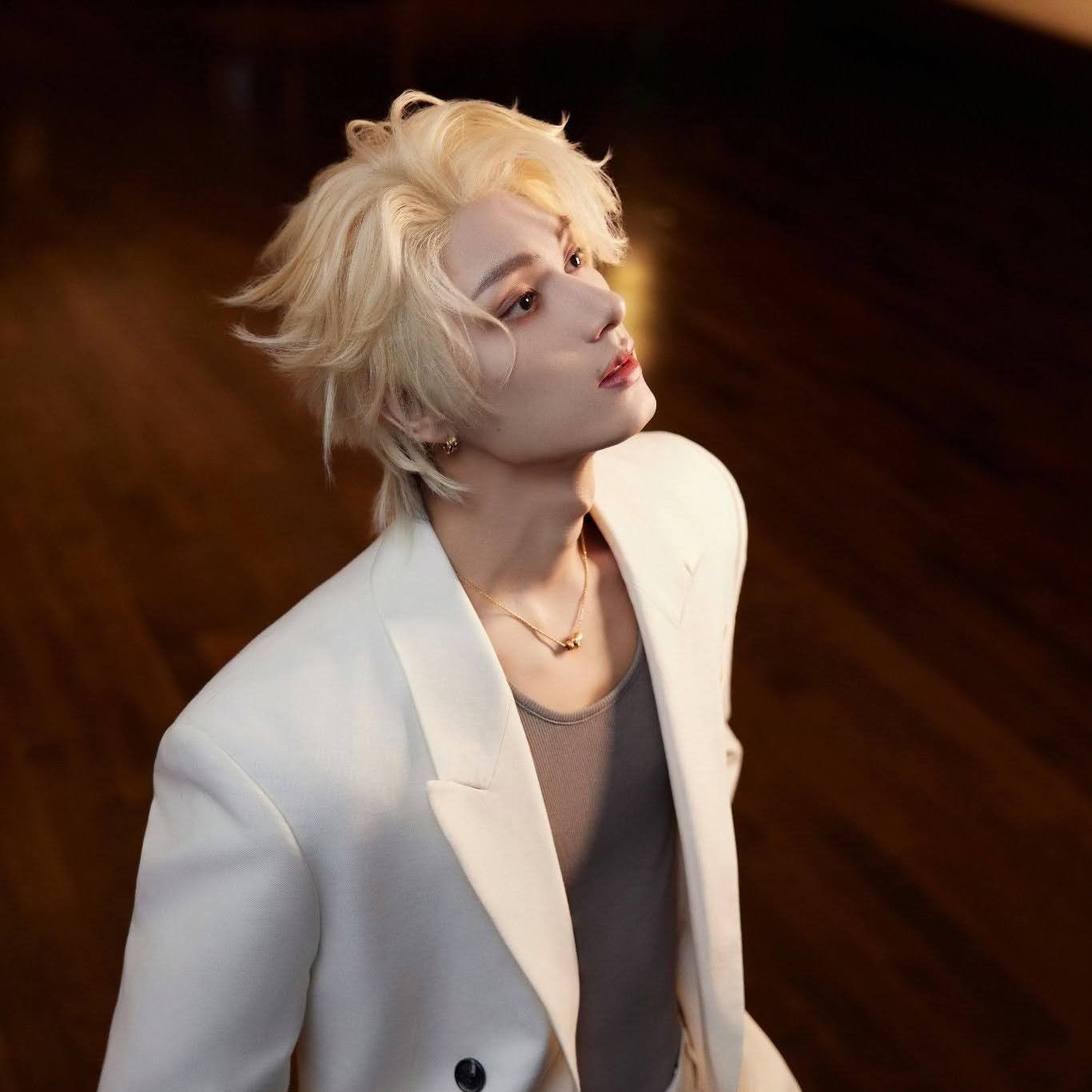 SEVENTEEN粉絲拍下的瞬間