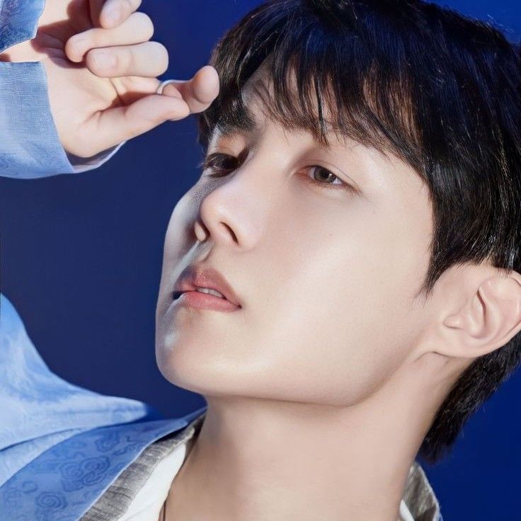 제이홉 (방탄소년단) 팬이 찍은 순간