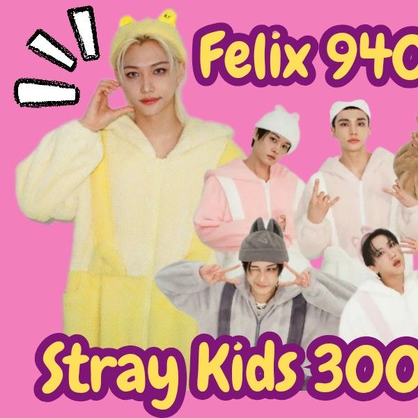 Stray Kids 팬이 찍은 순간