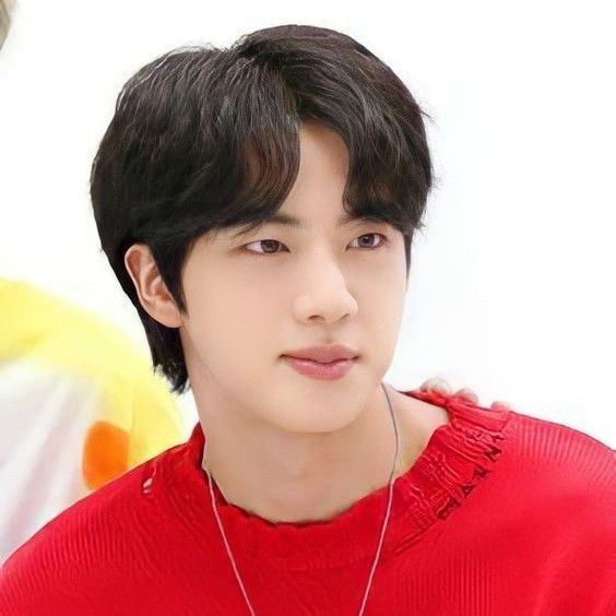 진 (방탄소년단) 팬이 찍은 순간