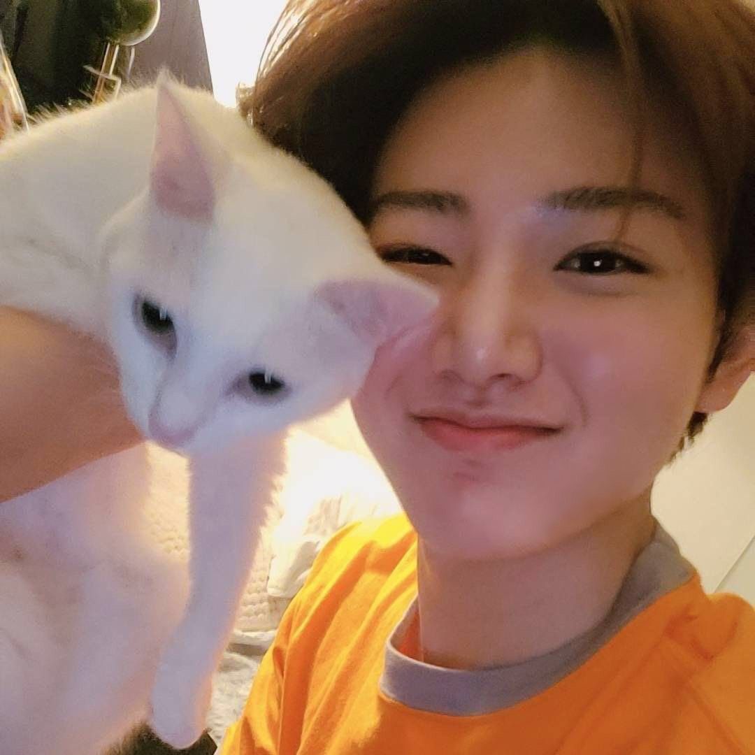 Recent activity shot of Junkyu (TREASURE)