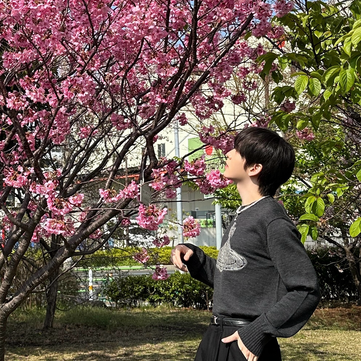 Latest photo of Allen (CRAVITY)