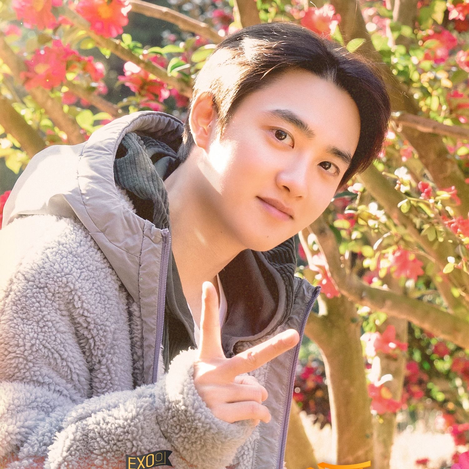 디오 (EXO) 최근 활동샷