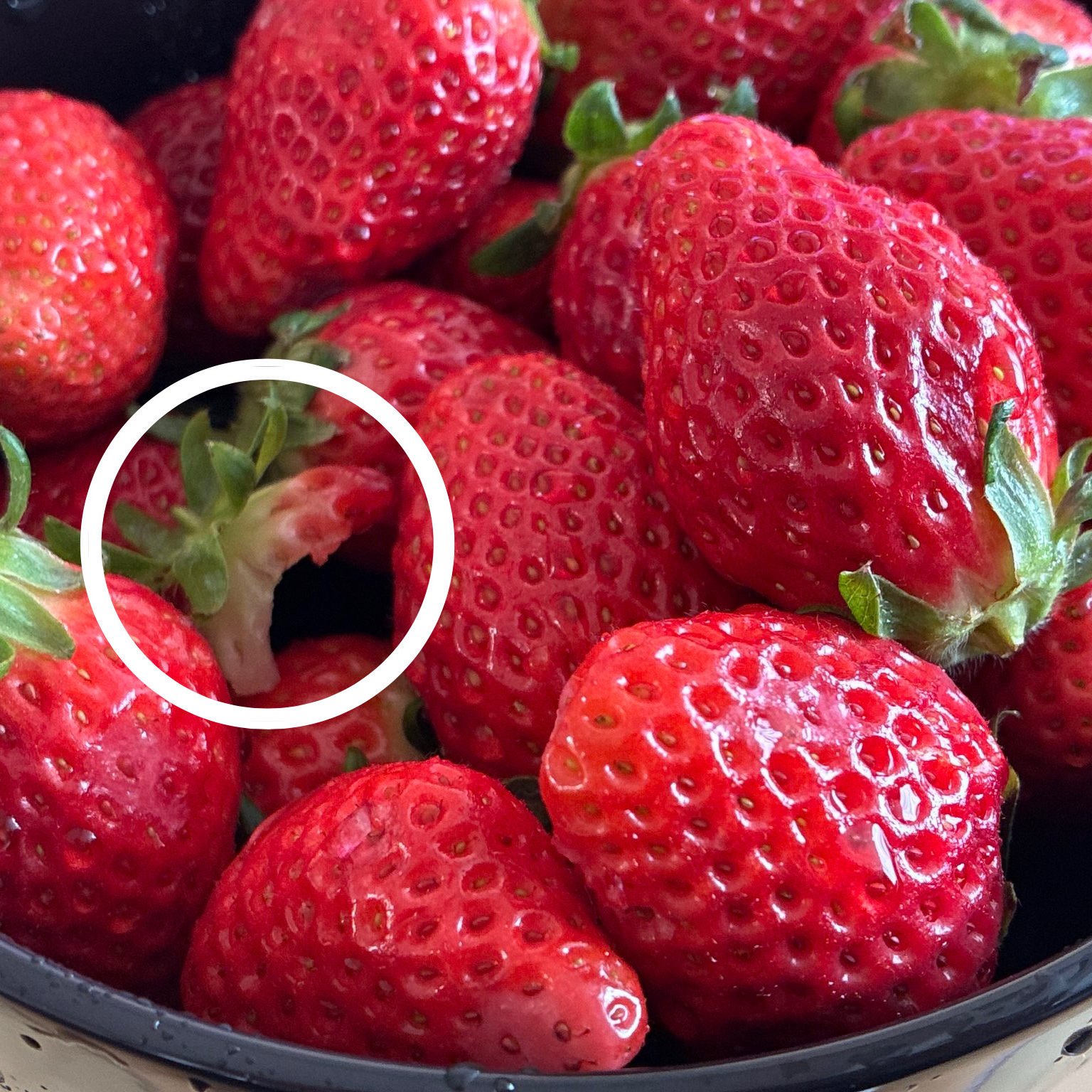 Latest photo of I.N (Stray Kids)