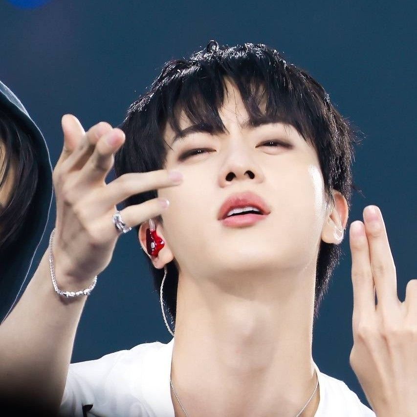 진 (방탄소년단) 팬이 찍은 순간