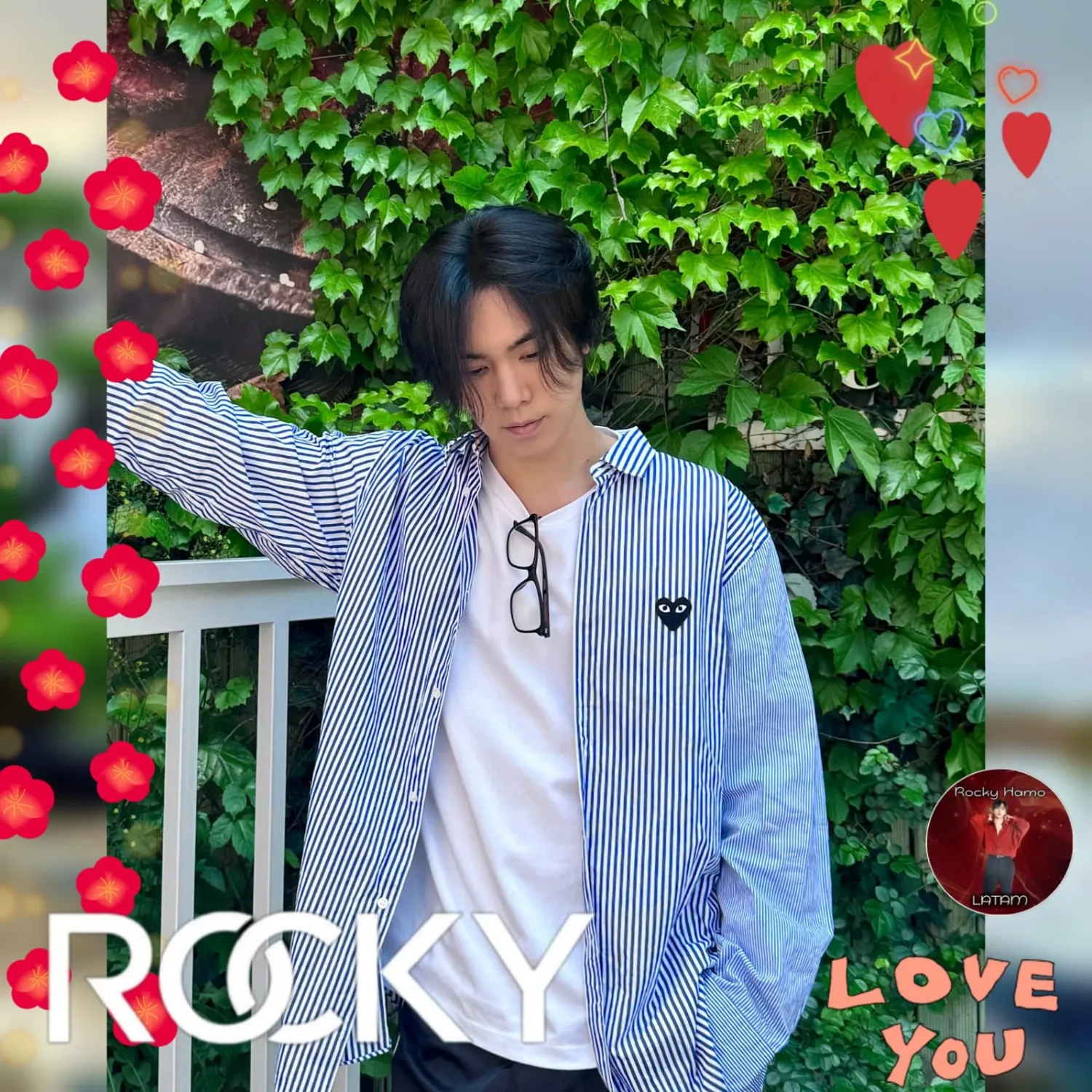 Latest photo of Rocky