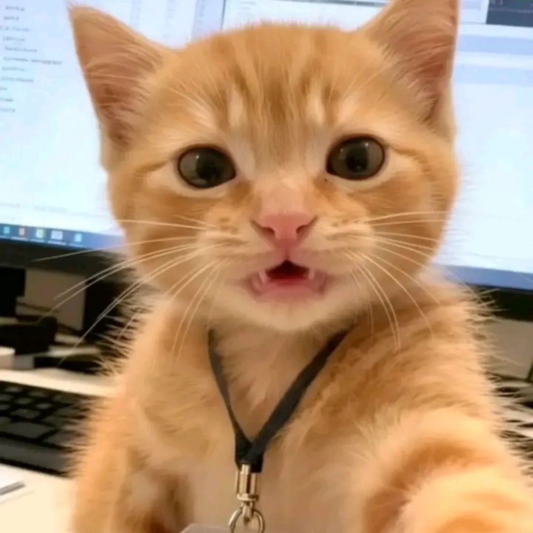 EXO 팬이 찍은 순간