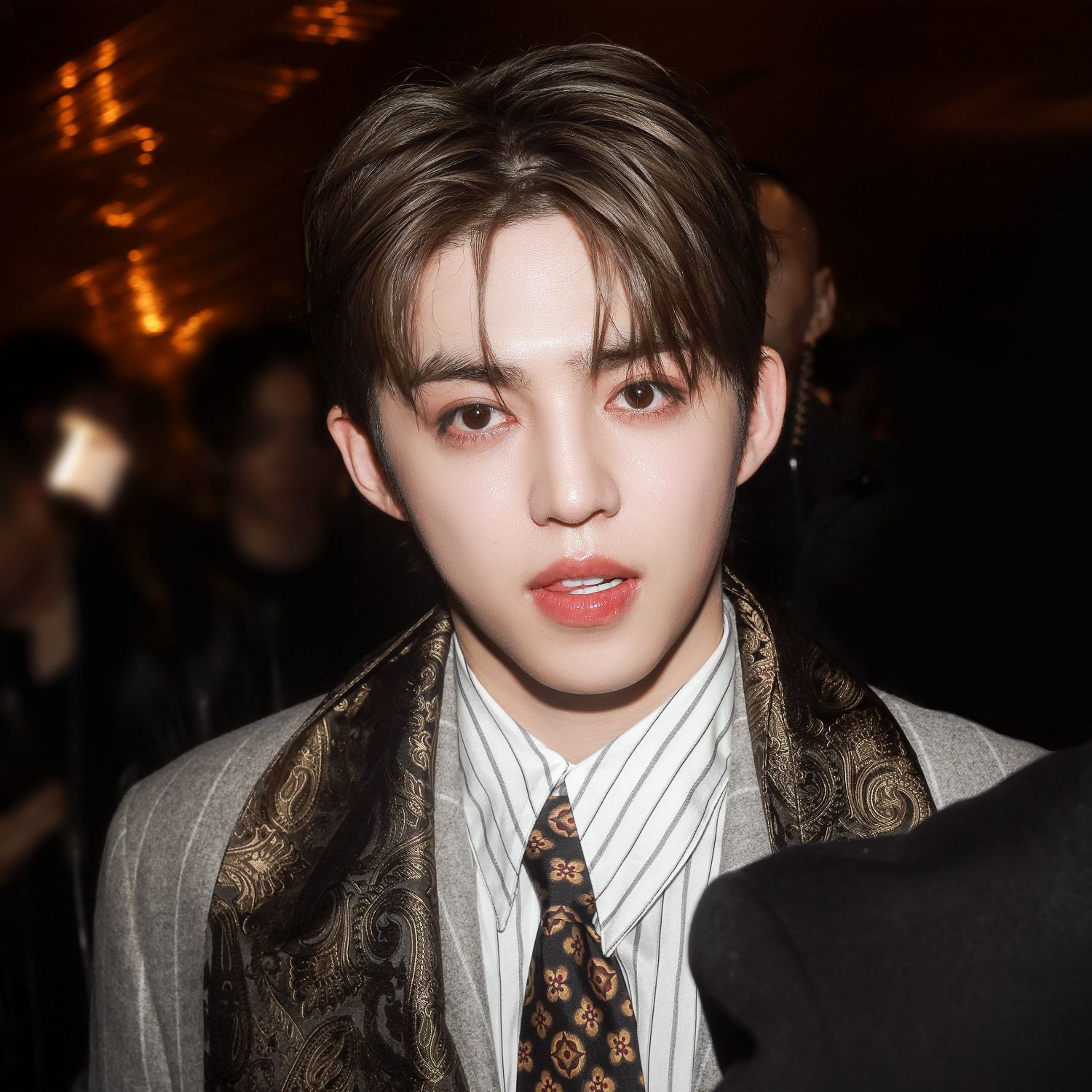 세븐틴 팬이 찍은 순간