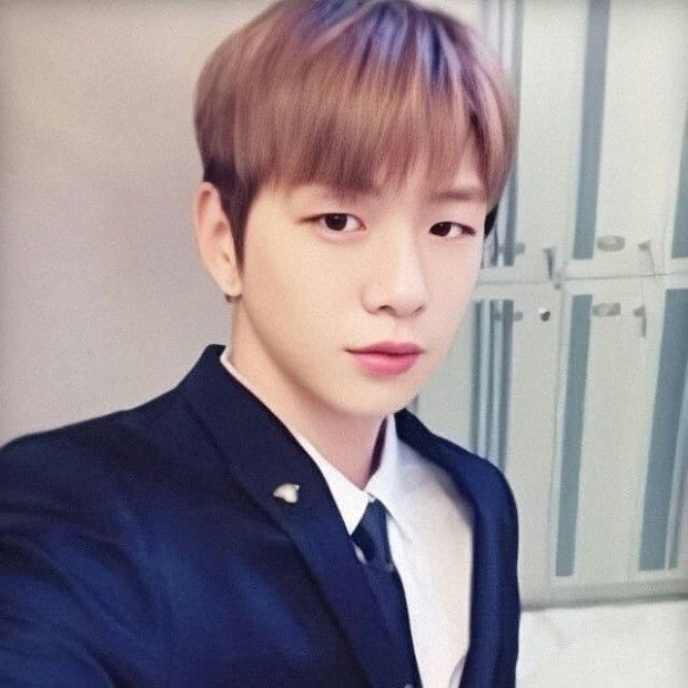 강다니엘 팬이 찍은 순간