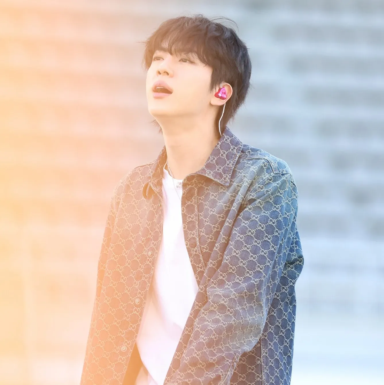 진 (방탄소년단) 팬이 찍은 순간