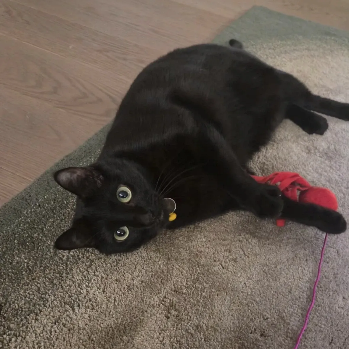 Latest photo of SUGA (BTS)