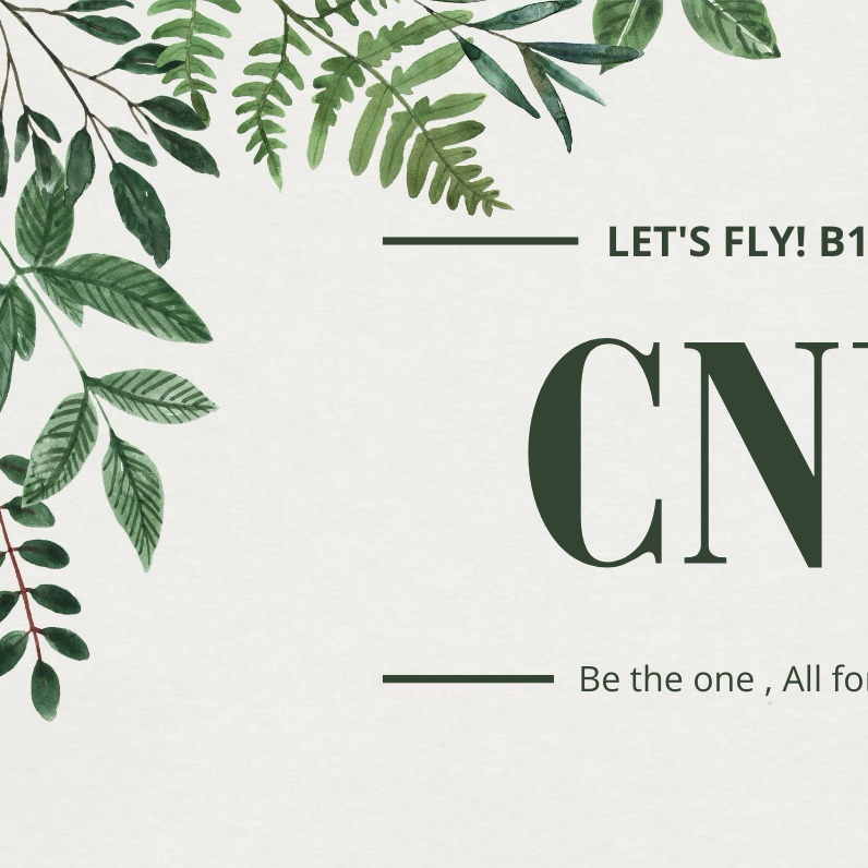 A moment captured by CNU (B1A4)'s fan