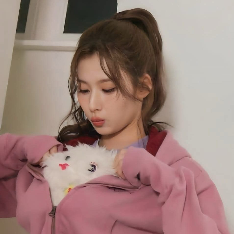 사나 (TWICE) 팬이 찍은 순간