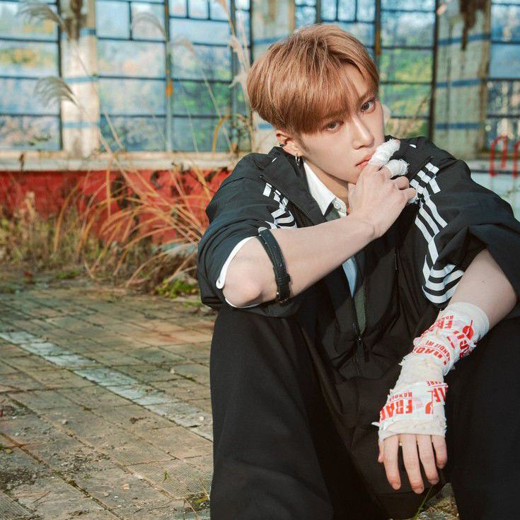 A moment captured by Arno (ALPHA DRIVE ONE)'s fan