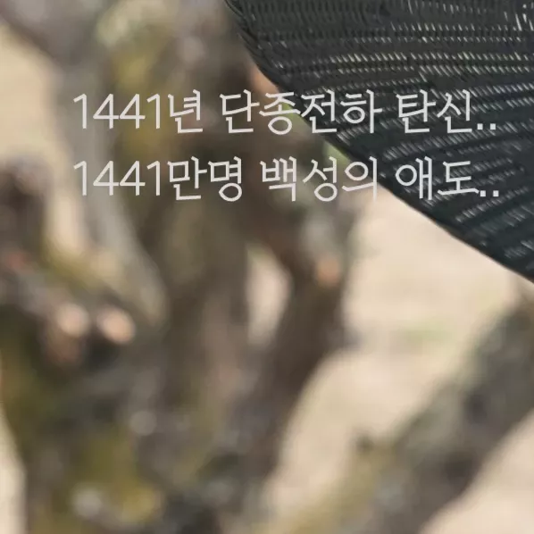 박지훈 최근 활동샷