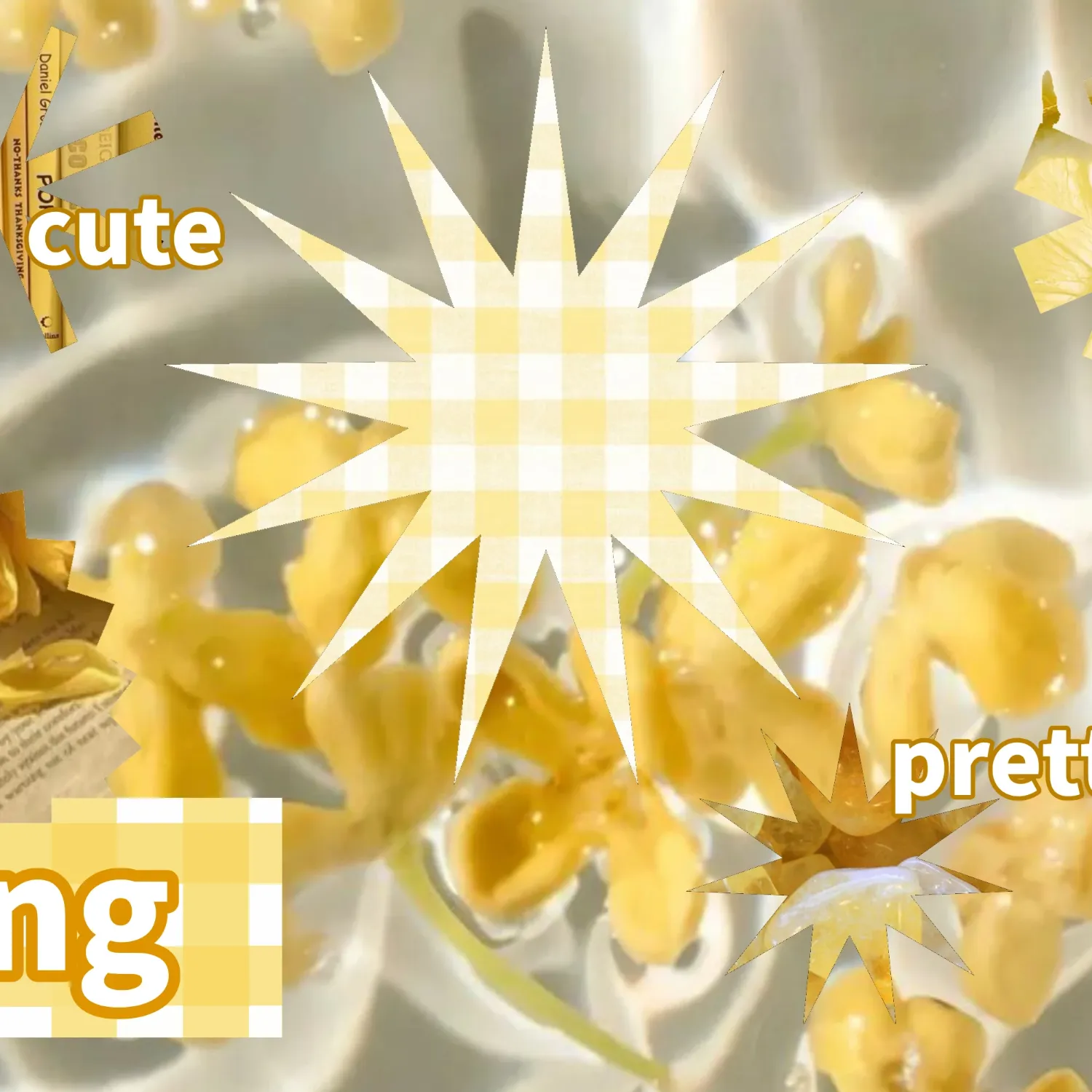 에반의 비하인드 컷