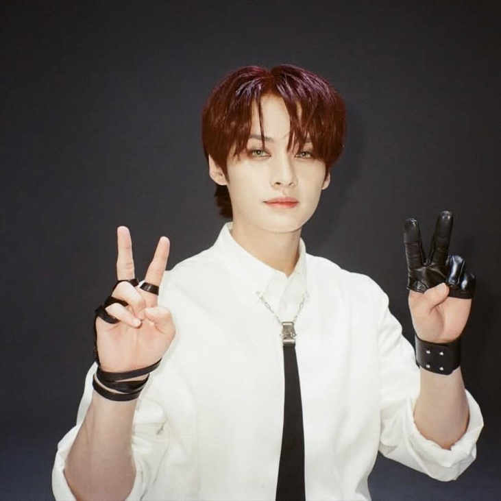 리노 (Stray Kids) 팬이 찍은 순간