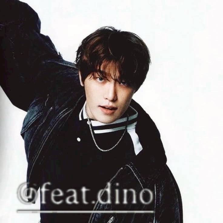 A moment captured by Dino (SEVENTEEN)'s fan