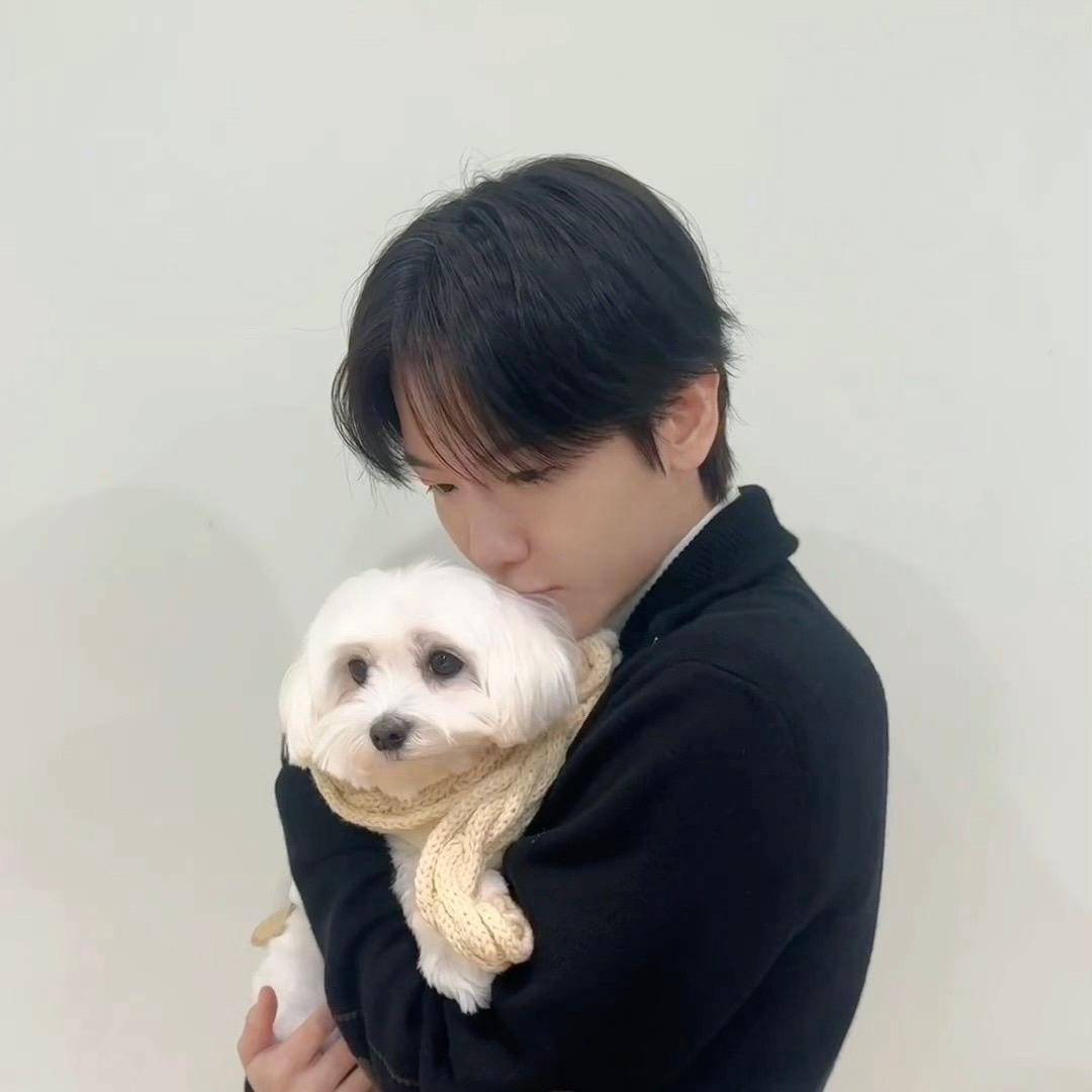 伯賢 (EXO)的最新照片