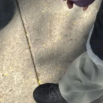 A moment captured by Jeong Yein (Lovelyz)'s fan