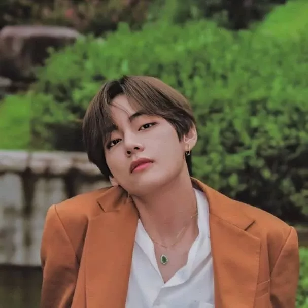 Potret di balik layar V (BTS)