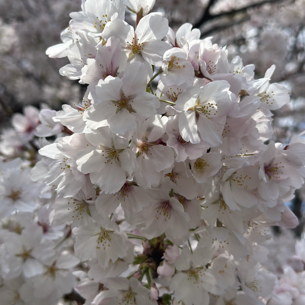 A moment captured by Eunwoo (ASTRO)'s fan