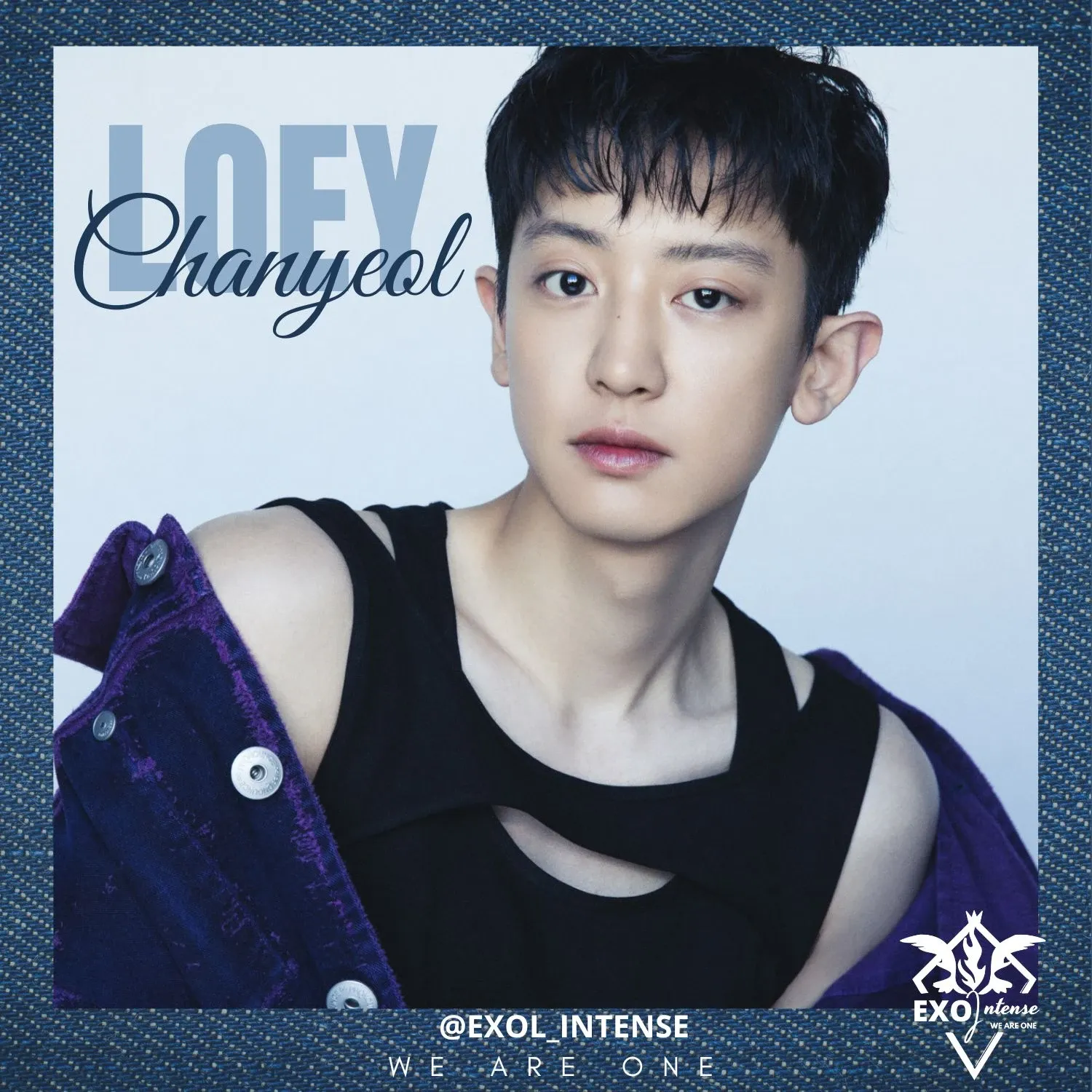 EXO 팬이 찍은 순간