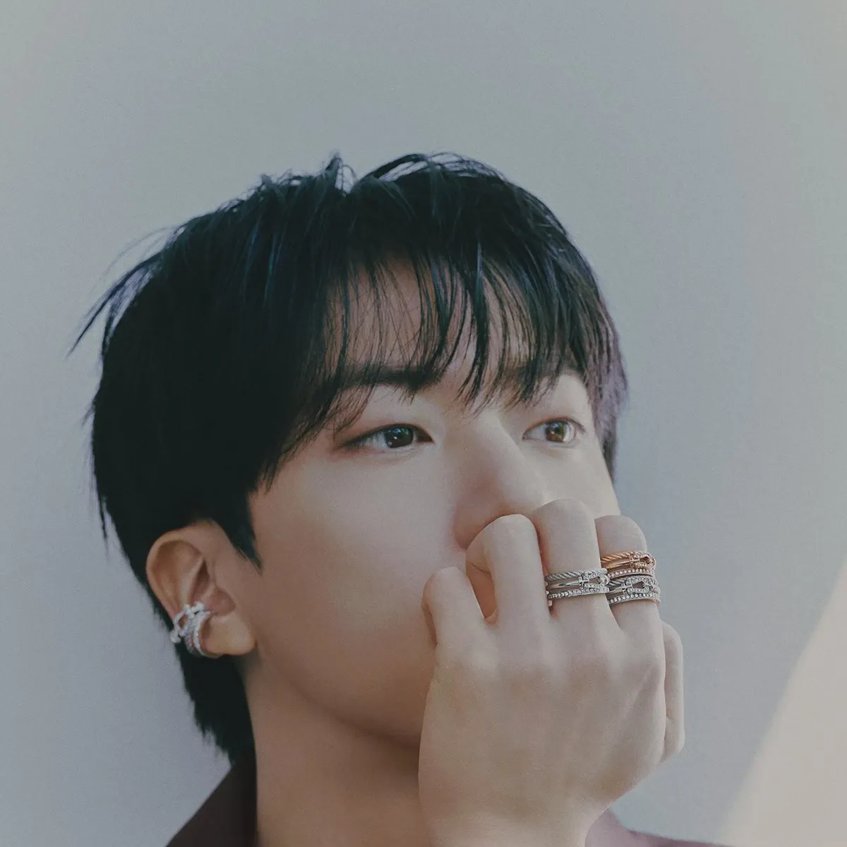 진 (방탄소년단)의 최신 사진