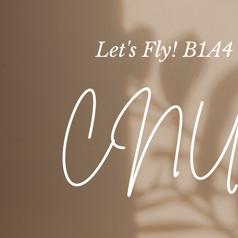 シヌ (B1A4)ファンが撮った瞬間