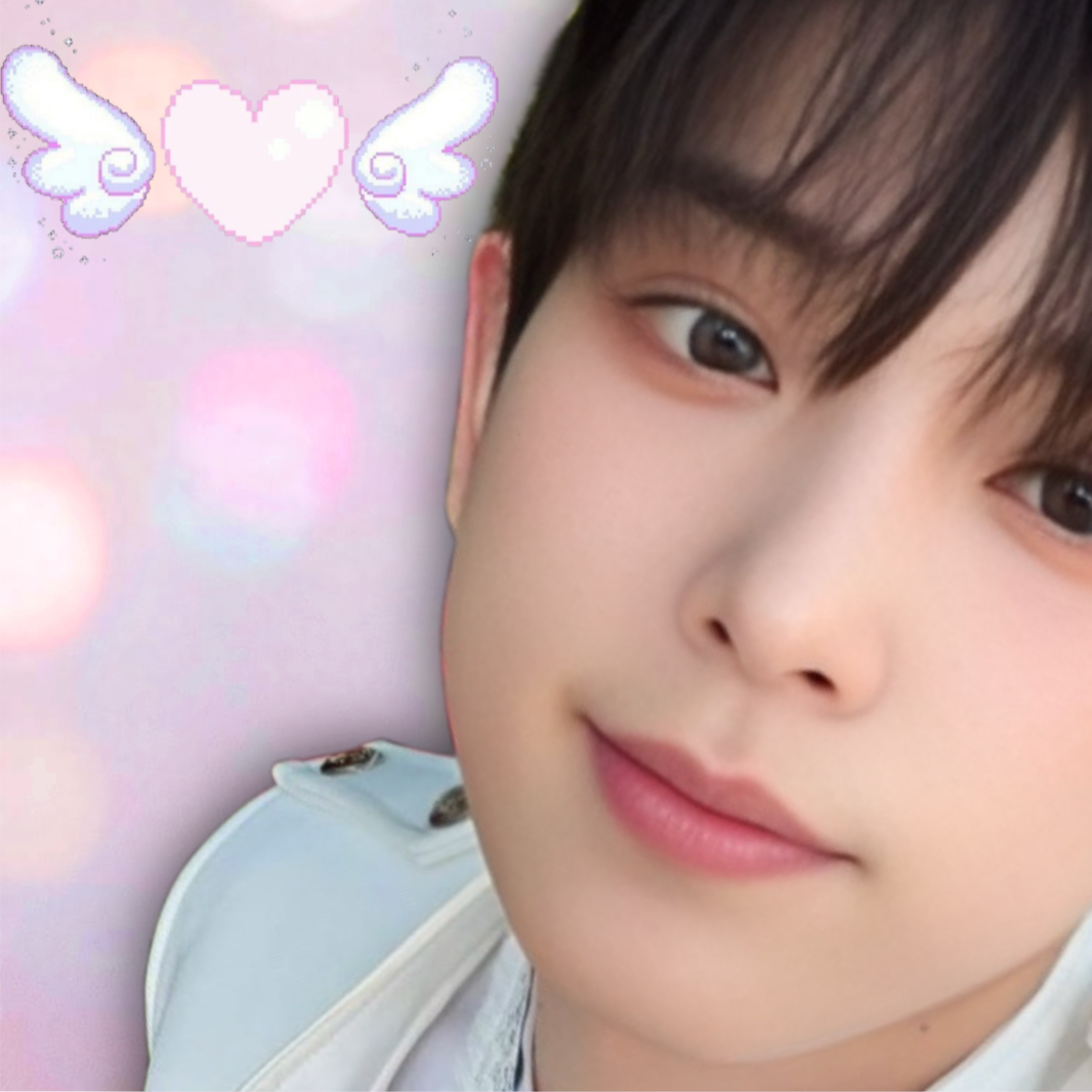 ファンに愛されるK-POPの人気投稿