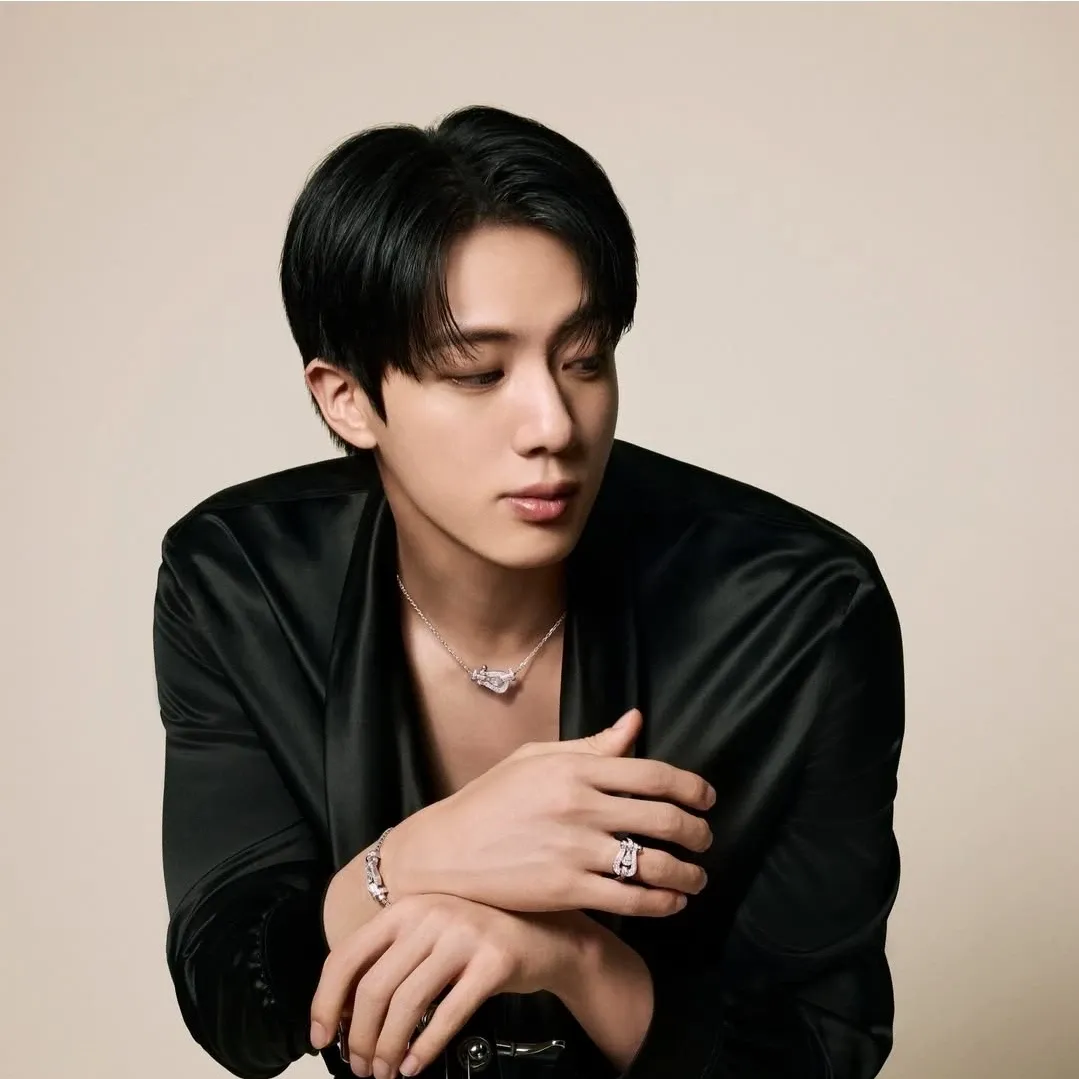 진 (방탄소년단) 팬이 찍은 순간