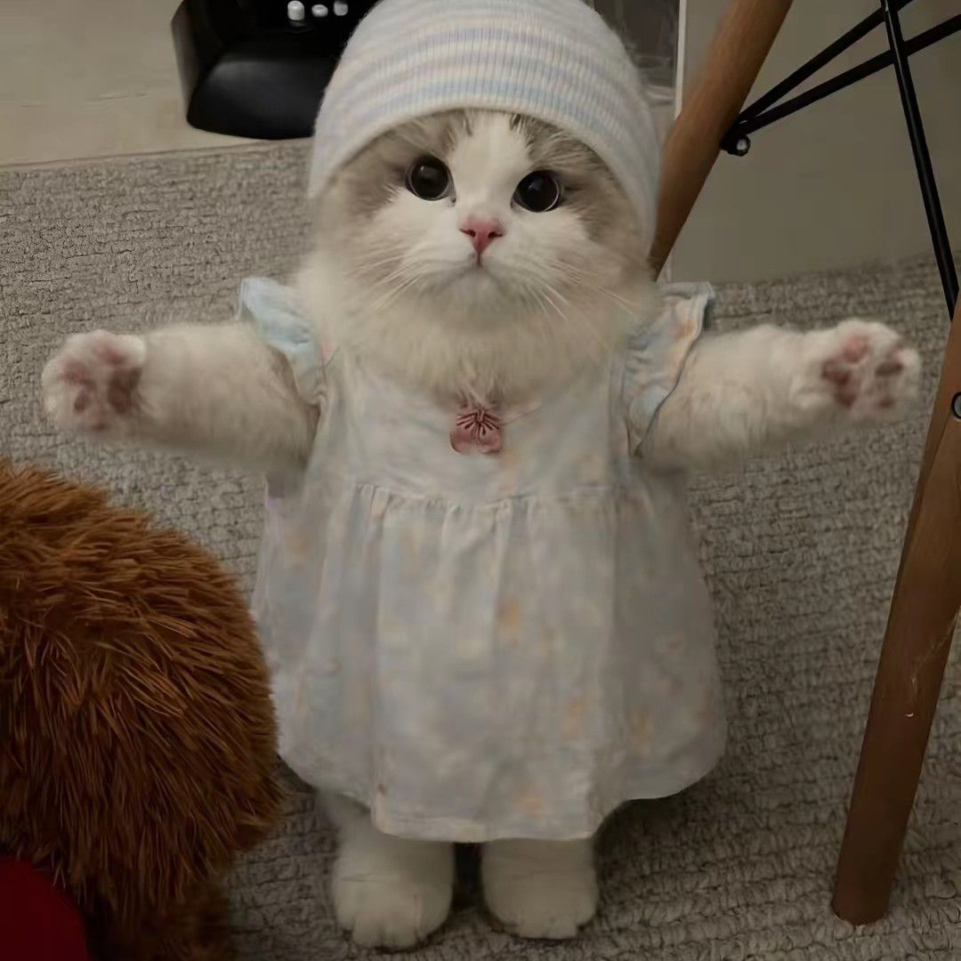 A moment captured by EXO's fan