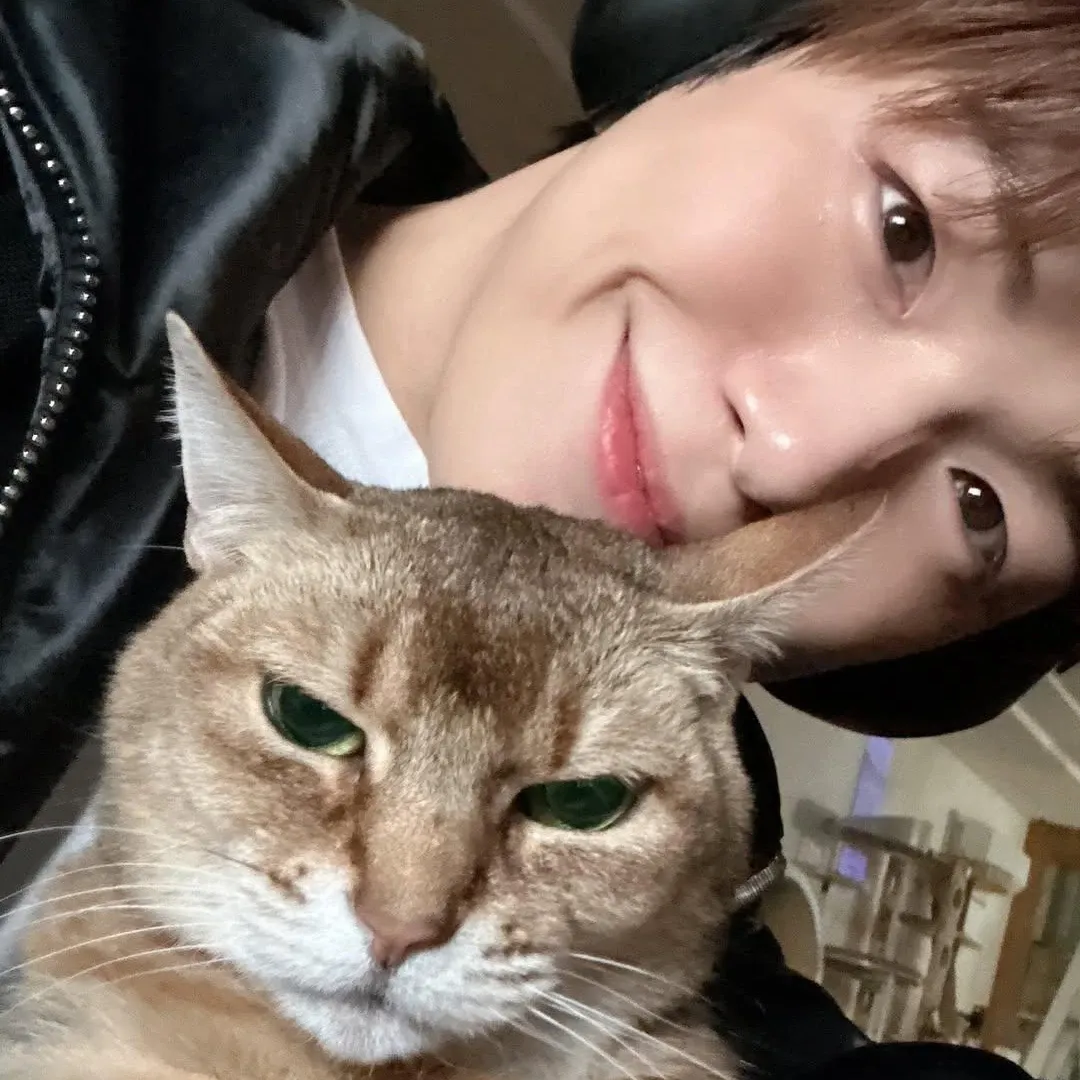 강다니엘의 비하인드 컷