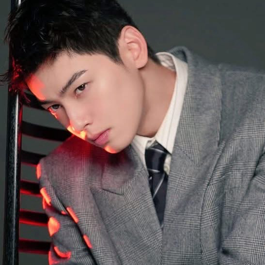 A moment captured by Eunwoo (ASTRO)'s fan