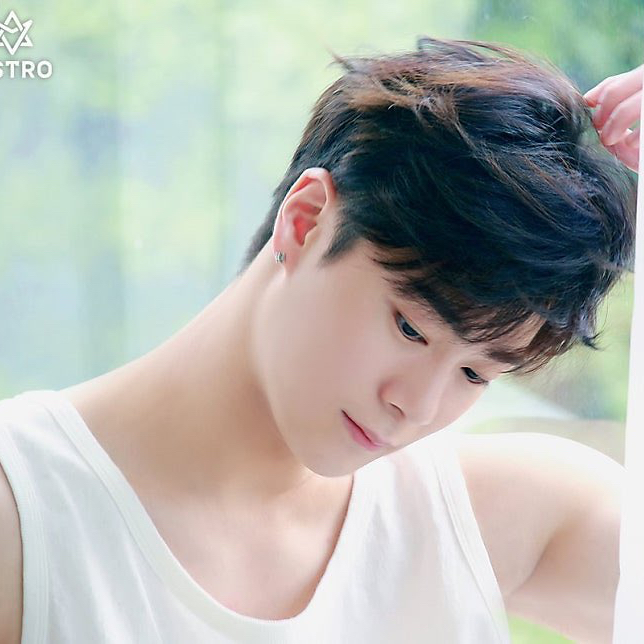 아스트로 팬이 찍은 순간