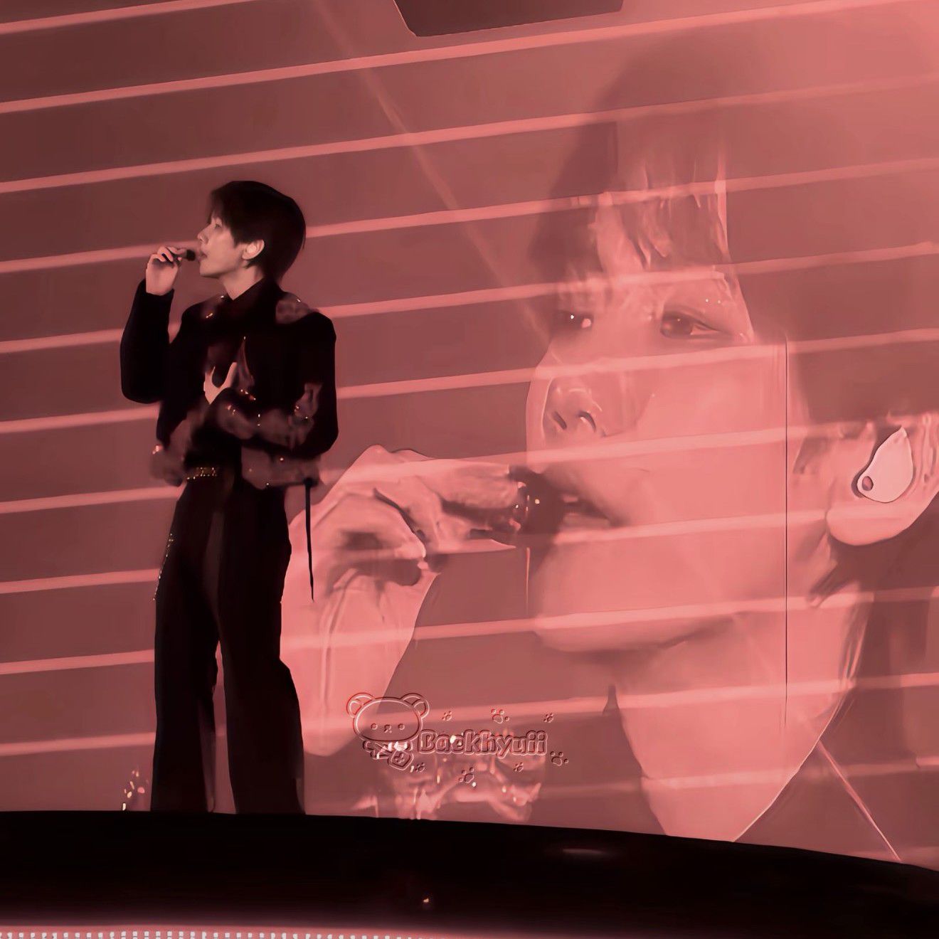 伯賢 (EXO)粉絲拍下的瞬間