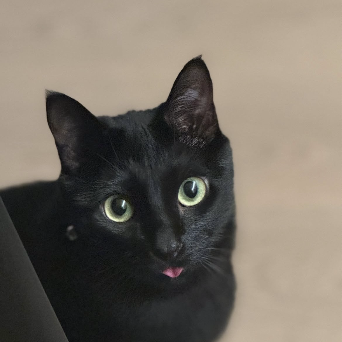 SUGA (BTS)の舞台裏ショット