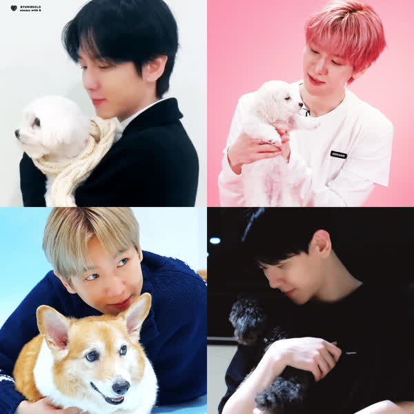 Popular profile image of AKMU selected by votes