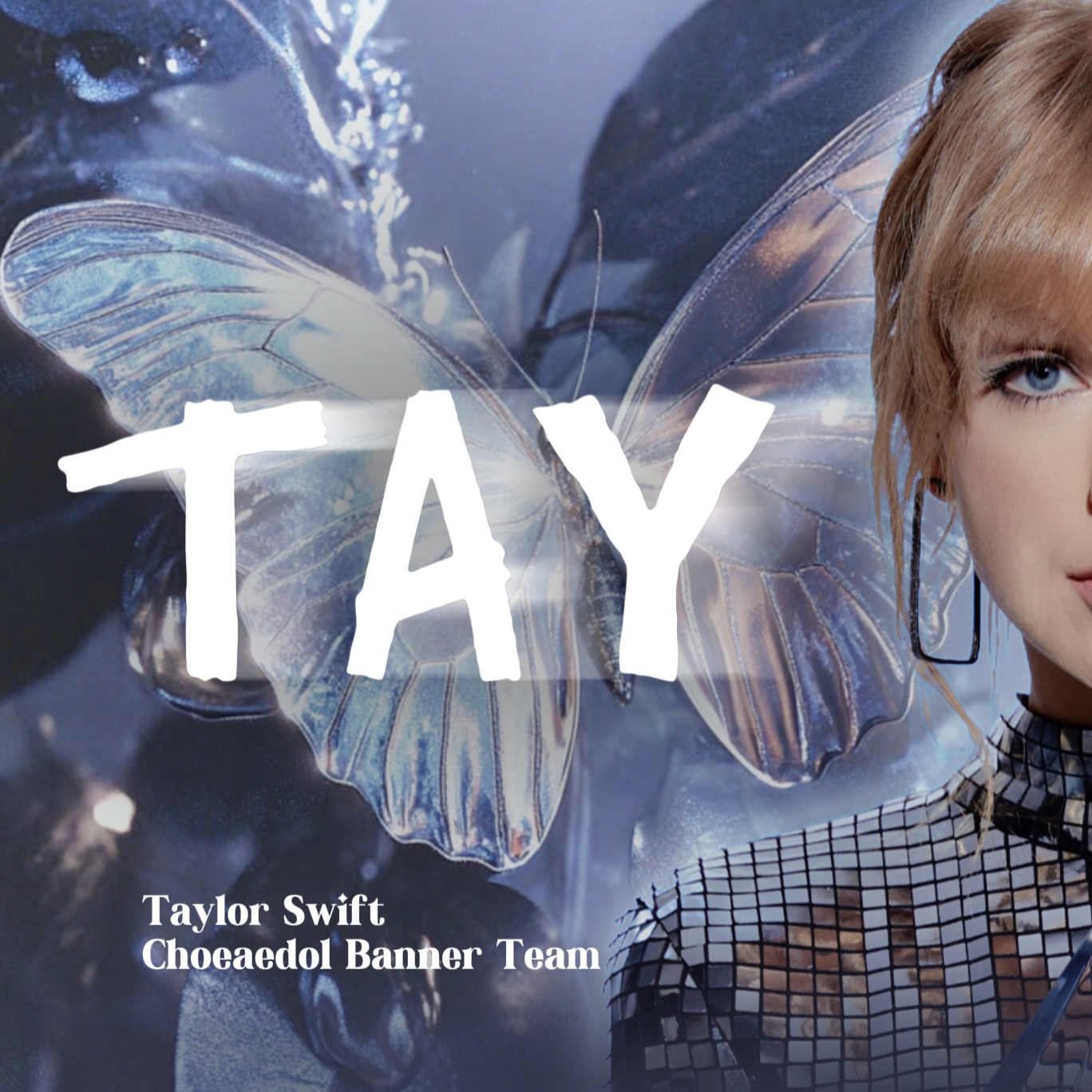 A moment captured by Taylor Swift's fan