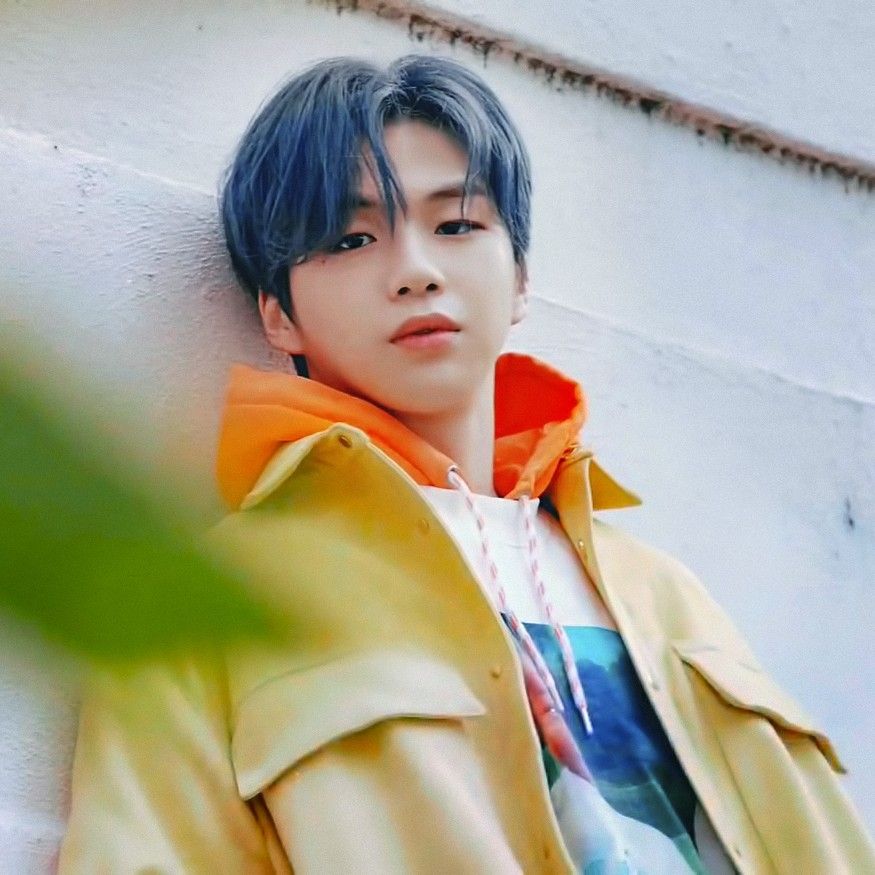 강다니엘 팬이 찍은 순간