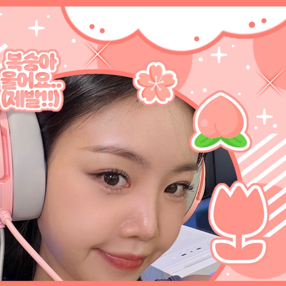 수진 최근 활동샷