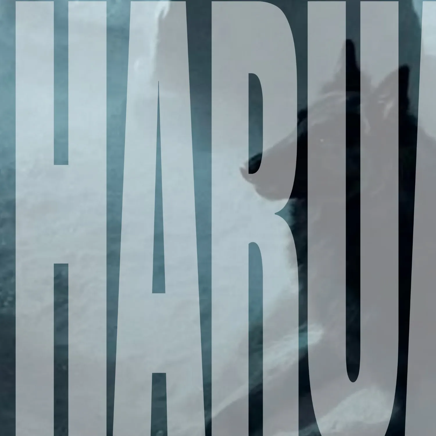 Behind-the-scenes cut of Harua (&TEAM)