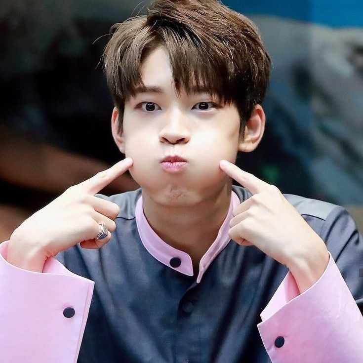 원우 (세븐틴)의 최신 사진