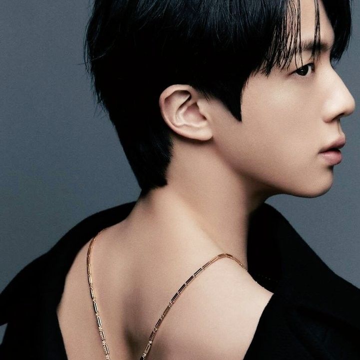 Jin (防弹少年团)的幕后花絮