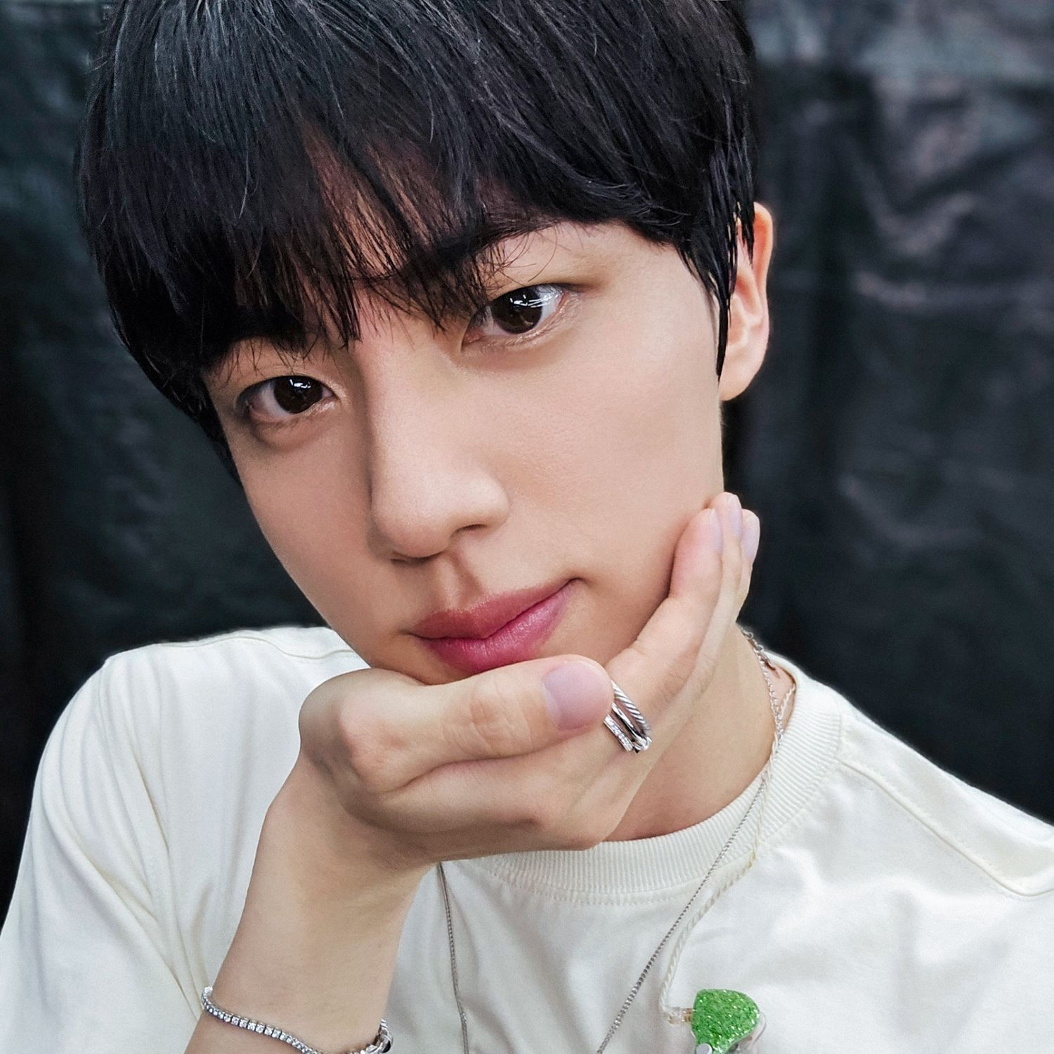 진 (방탄소년단) 팬이 찍은 순간