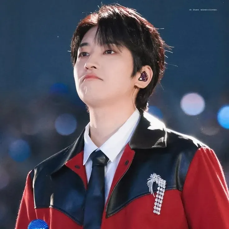A moment captured by Wonwoo (SEVENTEEN)'s fan
