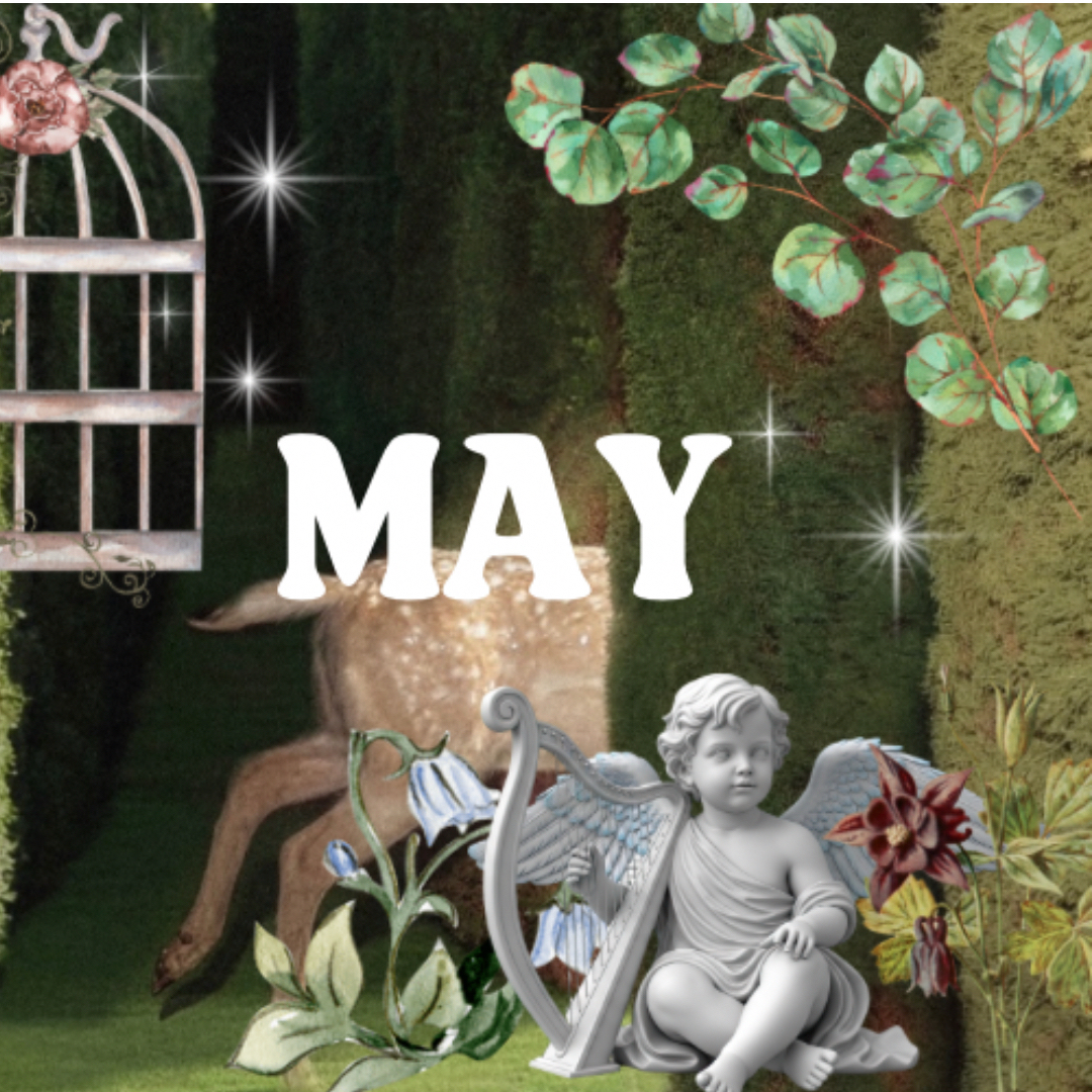 A moment captured by May (RESCENE)'s fan