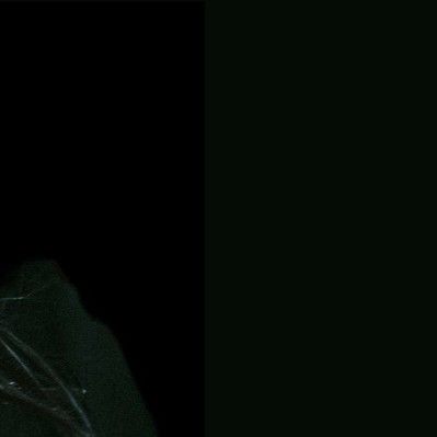 頌樂 (MAMAMOO)的最新活動照片